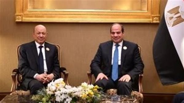 الرئيس السيسي والدكتور