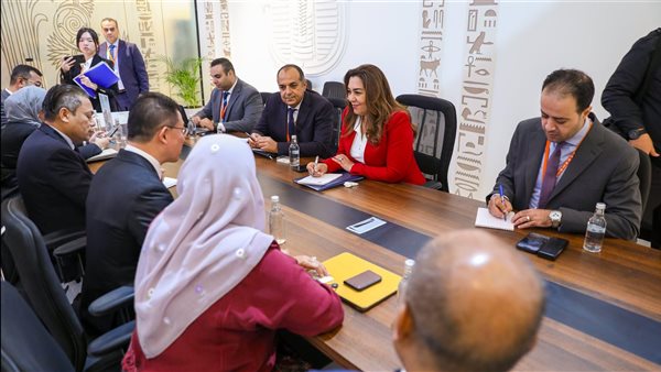 لقاء وزيرة التنمية