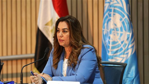 وزيرة التنمية