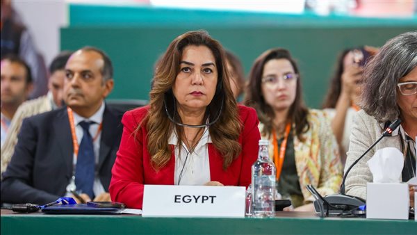 وزيرة التنمية المحلية