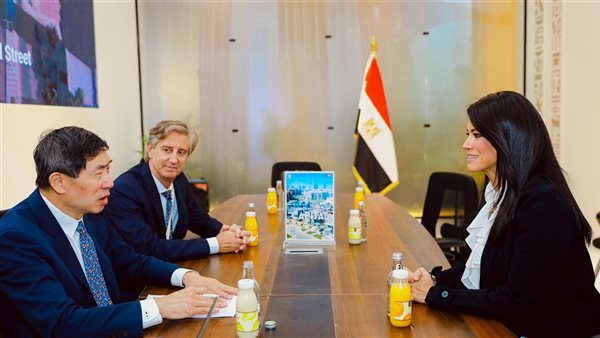 وزيرة التخطيط