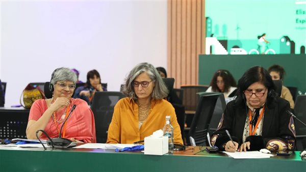 المجلس القومي للمرأة