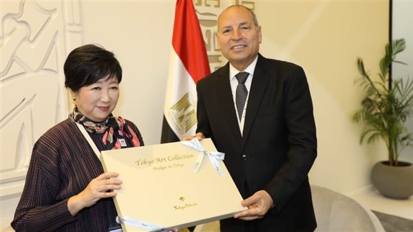 محافظ القاهرة يلتقي