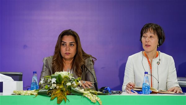 وزيرة التنمية المحلية