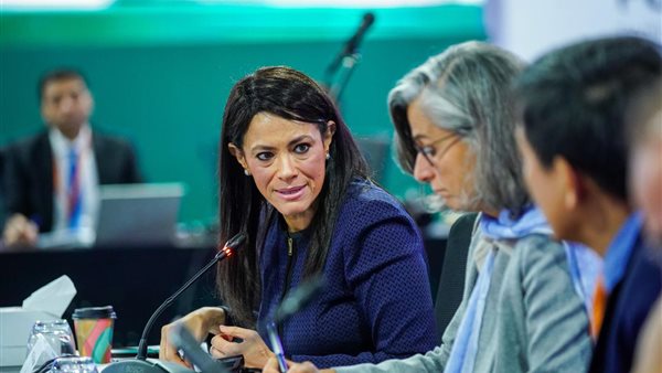 وزيرة التخطيط 