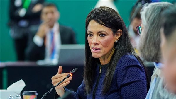 وزيرة التخطيط