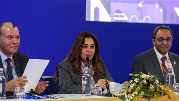 وزيرة التنمية المحلية