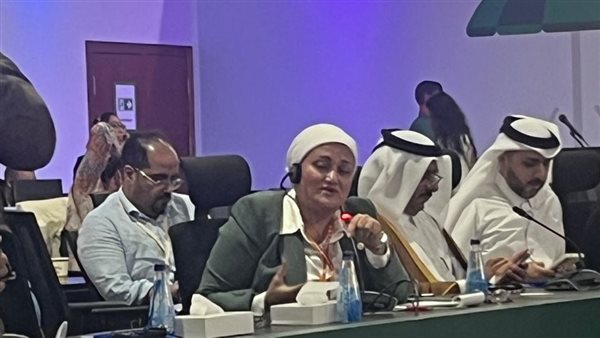 النائبة سناء السعيد