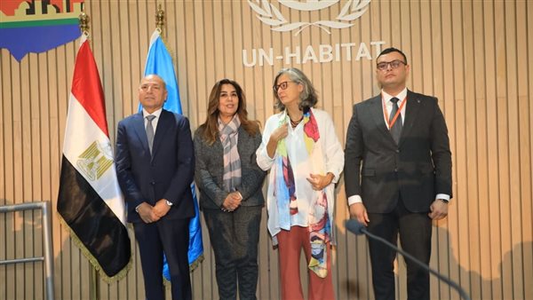 محافظ القاهرة