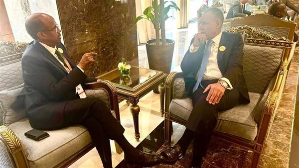 وزيرا الخارجية المصري