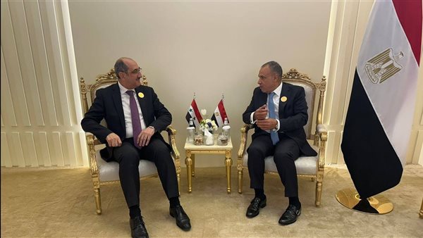 وزير الخارجية المصري