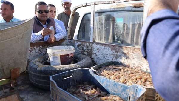 جهاز حماية وتنمية