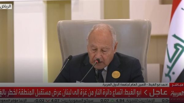 احمد أبو الغيط 