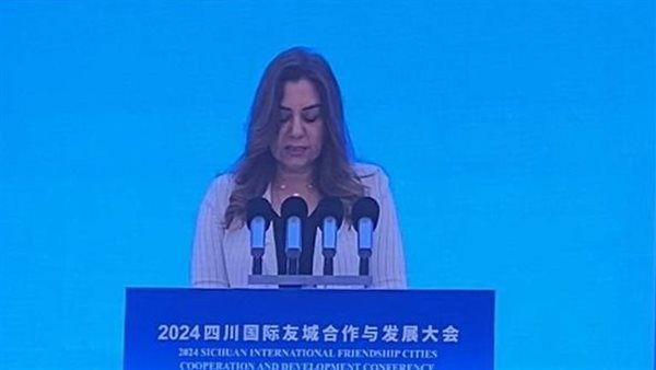 وزيرة التنمية المحلية