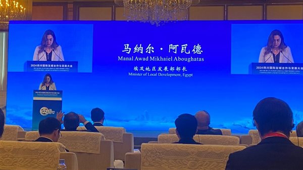 وزيرة التنمية المحلية