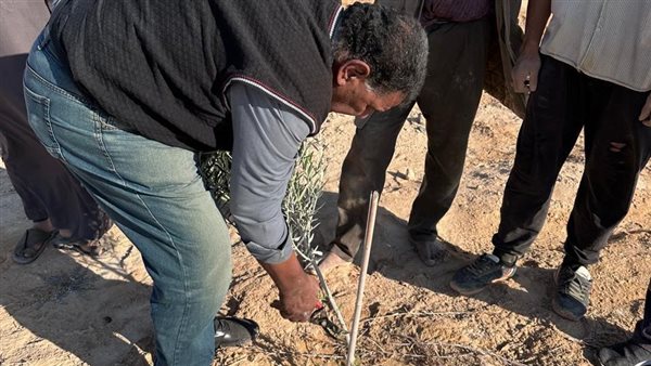 علماء وباحثي الصحراء