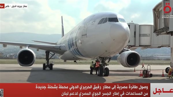 وصول طائرة مصرية