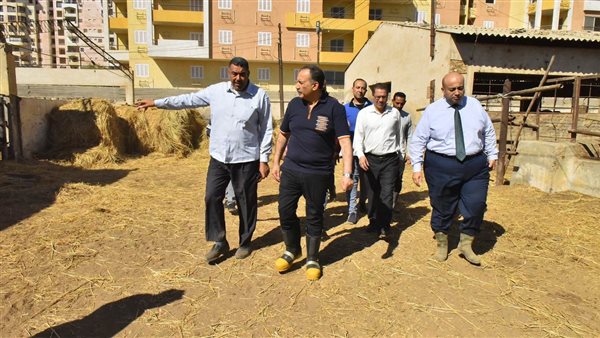 محافظ أسيوط 