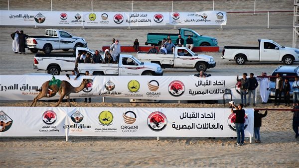 فعاليات المرحلة النهائية