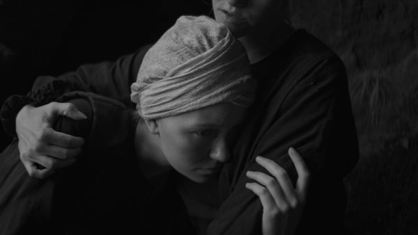 عروض الأفلام بمهرجان