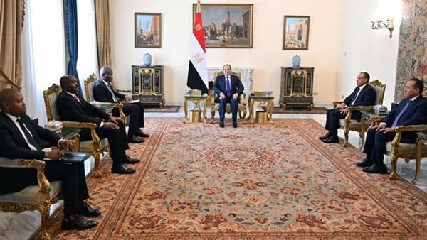 لقاء الرئيس السيسي