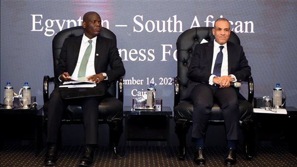 وزيرا خارجية مصر