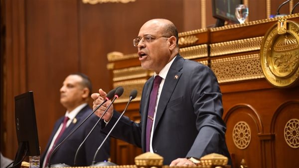 وزير العمل أمام مجلس