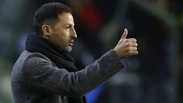 مدرب بلجيكا