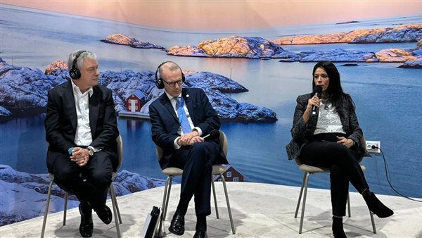 وزيرة التخطيط