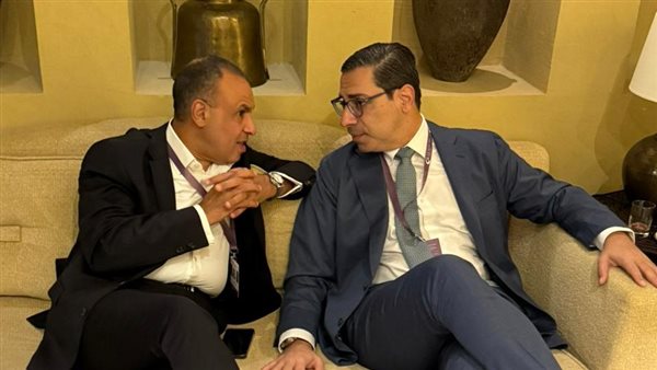 وزير الخارجية يلتقى