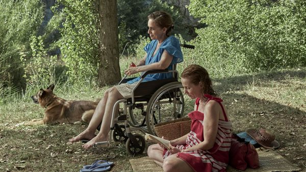 أفلام مهرجان القاهرة