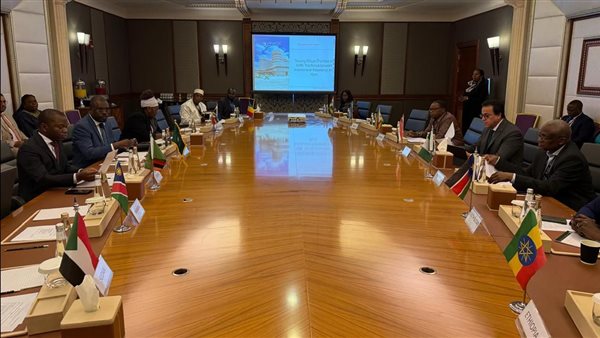 لقاء وزير الصحة