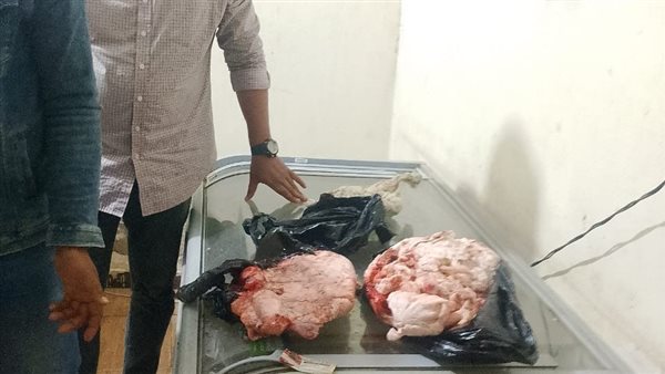 حمله تفتيش للمخالفات