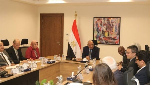 لقاء وزير الكهرباء