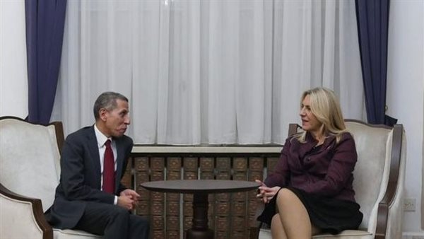 لقاء السفير المصري