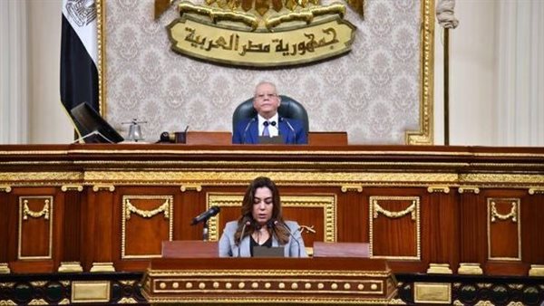 وزيرة التنمية المحلية