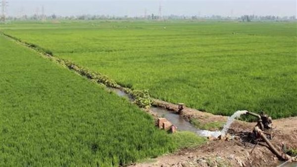 الحجر الزراعي