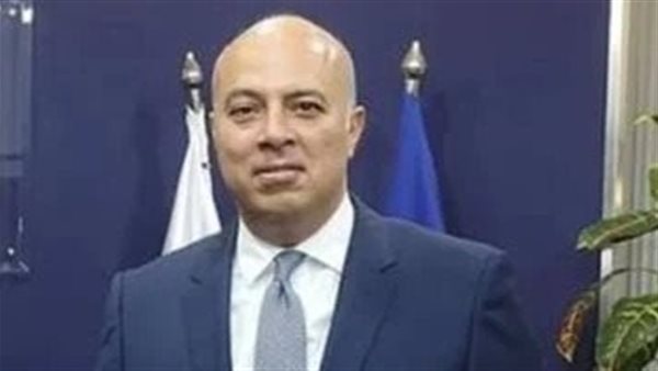 السفير محمد الشناوي