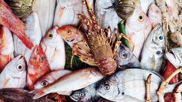  أسعار السمك اليوم