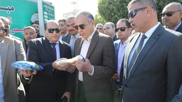 صورة توضيحية 