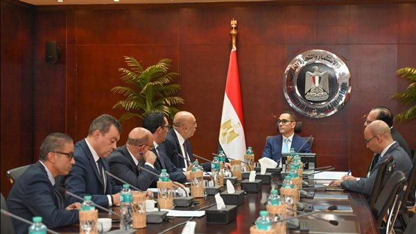 لقاء وزير الاستثمار