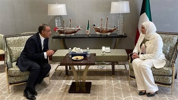 لقاء وزير الخارجية