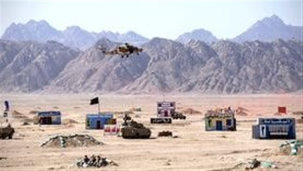 فاعليات التدريب