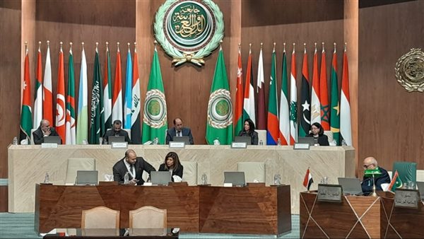 نائبة وزيرة التضامن