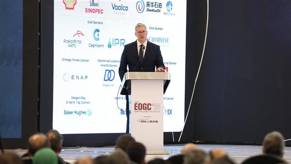 المهندس كريم بدوي