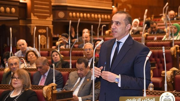 المستشار محمود فوزي،