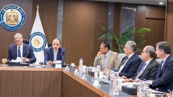 وزير قطاع الأعمال