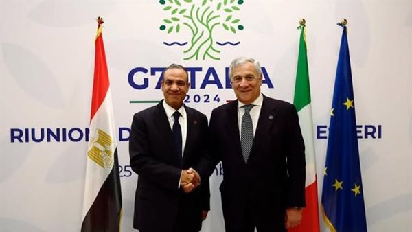 لقاء وزير الخارجية