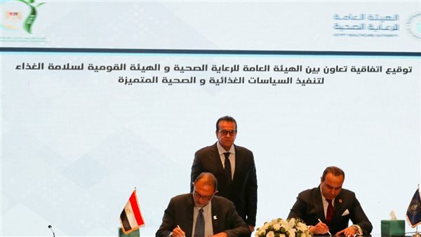 نائب رئيس مجلس الوزراء