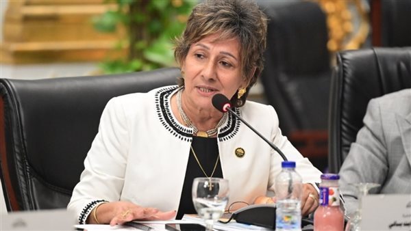 النائبة ندى ألفي